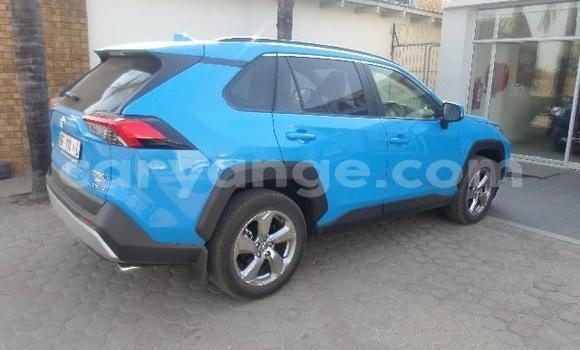 Buy Used Toyota RAV4 Blue Car in Karasburg in Karas Buy Used Toyota RAV4 Blue Car in Karasburg in Karas