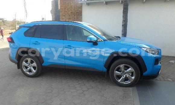 Buy Used Toyota RAV4 Blue Car in Karasburg in Karas Buy Used Toyota RAV4 Blue Car in Karasburg in Karas
