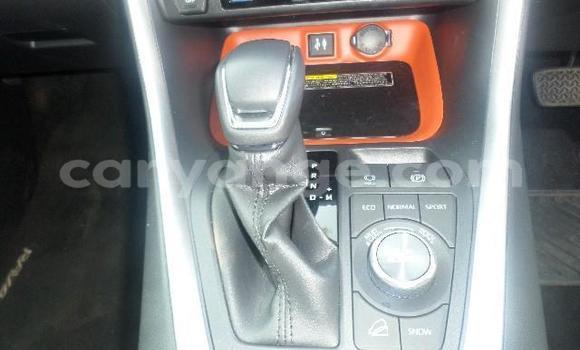 Buy Used Toyota RAV4 Blue Car in Karasburg in Karas Buy Used Toyota RAV4 Blue Car in Karasburg in Karas