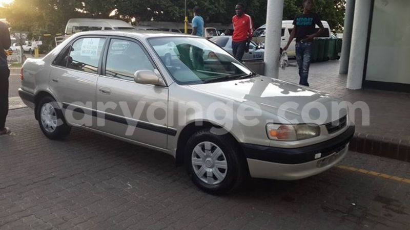 Big with watermark 15285033 1129442643839909 5134408343826197814 n