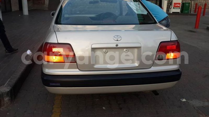 Big with watermark 15578737 1281570078576389 5086098407229006862 n