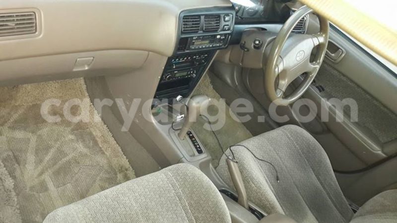 Big with watermark 16195545 964543743682119 5411391990017441485 n