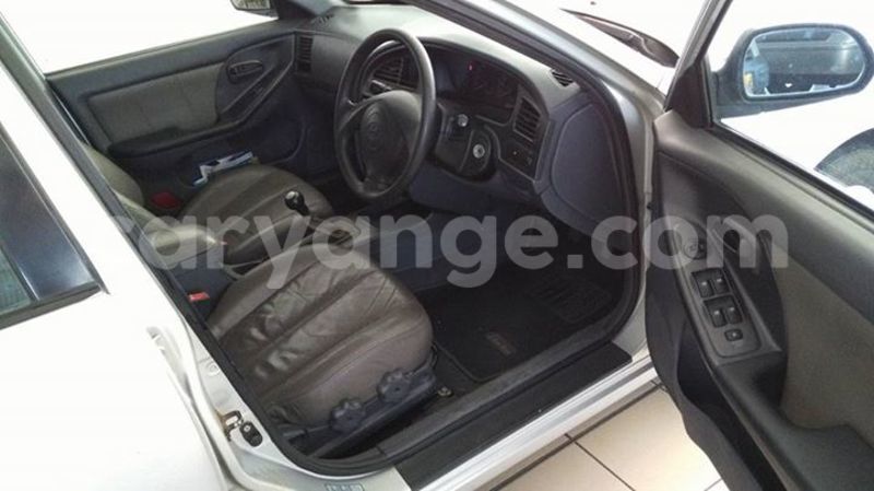 Big with watermark 15578737 1281570078576389 5086098407229006862 n