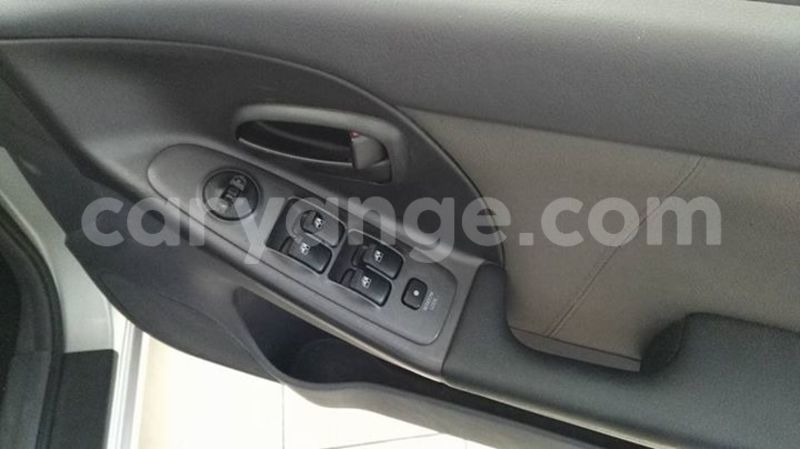 Big with watermark 16195545 964543743682119 5411391990017441485 n