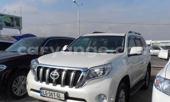 Buy Used Toyota Prado White Car in Windhoek in Namibia Buy Used Toyota Prado White Car in Windhoek in Namibia