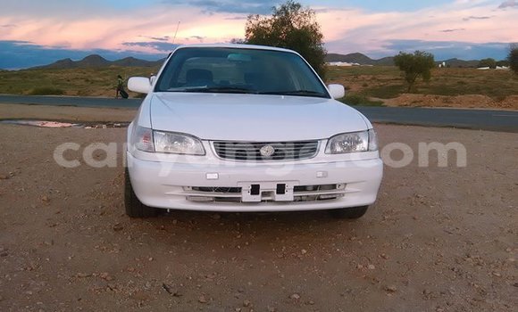 Buy Used Toyota Corolla White Car in Windhoek in Namibia Buy Used Toyota Corolla White Car in Windhoek in Namibia