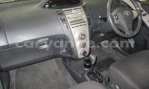 Buy Used Toyota Yaris Blue Car in Windhoek in Namibia Buy Used Toyota Yaris Blue Car in Windhoek in Namibia