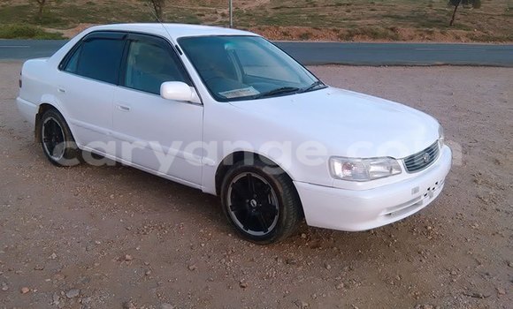 Buy Used Toyota Corolla White Car in Windhoek in Namibia Buy Used Toyota Corolla White Car in Windhoek in Namibia