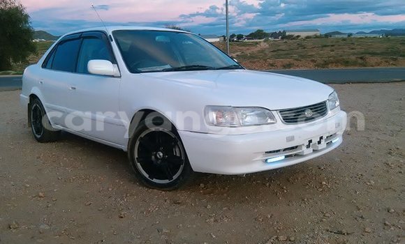 Buy Used Toyota Corolla White Car in Windhoek in Namibia Buy Used Toyota Corolla White Car in Windhoek in Namibia