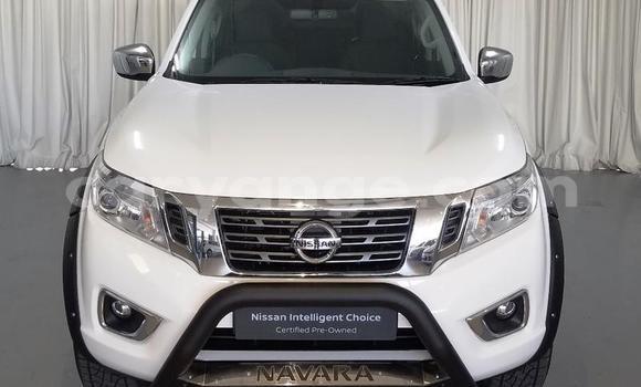 Buy Used Nissan Navara White Car in Windhoek in Namibia Buy Used Nissan Navara White Car in Windhoek in Namibia