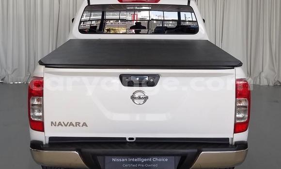 Buy Used Nissan Navara White Car in Windhoek in Namibia Buy Used Nissan Navara White Car in Windhoek in Namibia