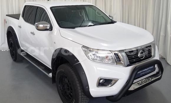 Buy Used Nissan Navara White Car in Windhoek in Namibia Buy Used Nissan Navara White Car in Windhoek in Namibia