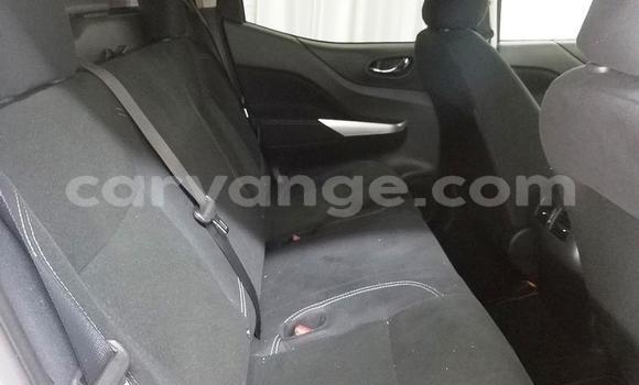 Buy Used Nissan Navara White Car in Windhoek in Namibia Buy Used Nissan Navara White Car in Windhoek in Namibia