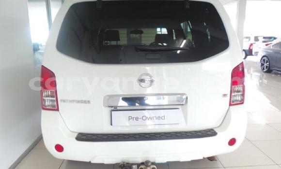 Buy Used Nissan Pathfinder White Car in Windhoek in Namibia Buy Used Nissan Pathfinder White Car in Windhoek in Namibia