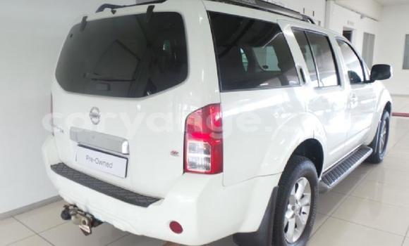 Buy Used Nissan Pathfinder White Car in Windhoek in Namibia Buy Used Nissan Pathfinder White Car in Windhoek in Namibia
