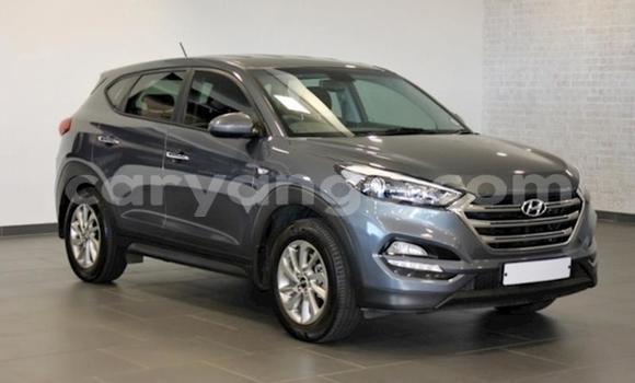 Buy Used Hyundai Tucson Silver Car in Windhoek in Namibia Buy Used Hyundai Tucson Silver Car in Windhoek in Namibia