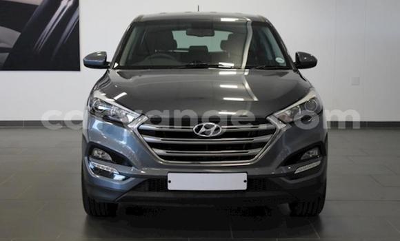 Buy Used Hyundai Tucson Silver Car in Windhoek in Namibia Buy Used Hyundai Tucson Silver Car in Windhoek in Namibia