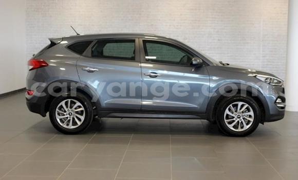 Buy Used Hyundai Tucson Silver Car in Windhoek in Namibia Buy Used Hyundai Tucson Silver Car in Windhoek in Namibia