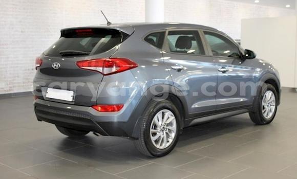 Buy Used Hyundai Tucson Silver Car in Windhoek in Namibia Buy Used Hyundai Tucson Silver Car in Windhoek in Namibia