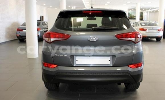 Buy Used Hyundai Tucson Silver Car in Windhoek in Namibia Buy Used Hyundai Tucson Silver Car in Windhoek in Namibia