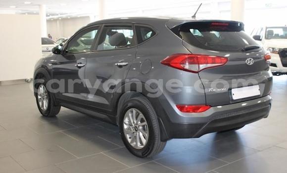 Buy Used Hyundai Tucson Silver Car in Windhoek in Namibia Buy Used Hyundai Tucson Silver Car in Windhoek in Namibia