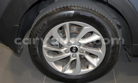 Buy Used Hyundai Tucson Silver Car in Windhoek in Namibia Buy Used Hyundai Tucson Silver Car in Windhoek in Namibia