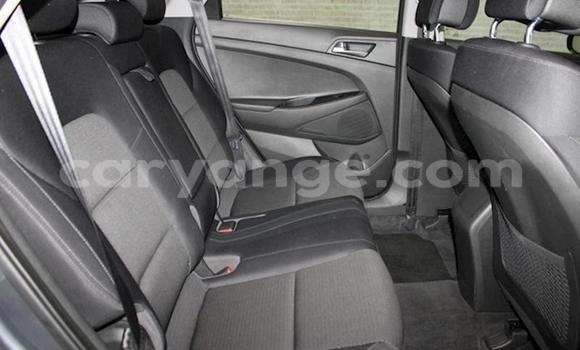 Buy Used Hyundai Tucson Silver Car in Windhoek in Namibia Buy Used Hyundai Tucson Silver Car in Windhoek in Namibia