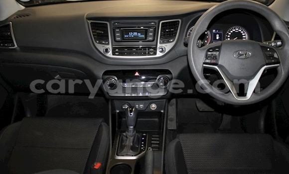 Buy Used Hyundai Tucson Silver Car in Windhoek in Namibia Buy Used Hyundai Tucson Silver Car in Windhoek in Namibia