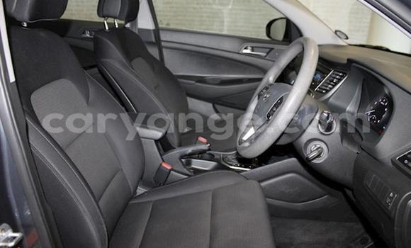Buy Used Hyundai Tucson Silver Car in Windhoek in Namibia Buy Used Hyundai Tucson Silver Car in Windhoek in Namibia