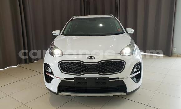 Buy Used Kia Sportage White Car in Windhoek in Namibia Buy Used Kia Sportage White Car in Windhoek in Namibia