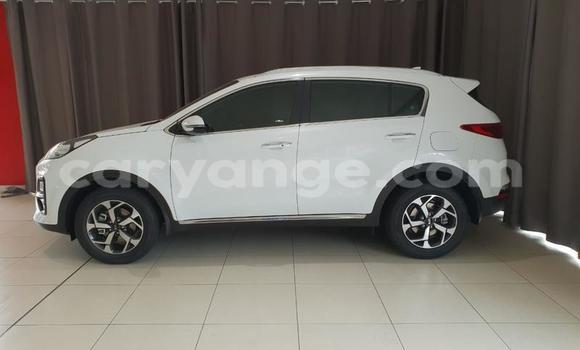 Buy Used Kia Sportage White Car in Windhoek in Namibia Buy Used Kia Sportage White Car in Windhoek in Namibia