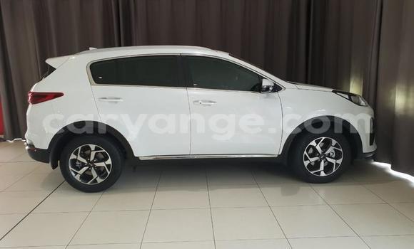 Buy Used Kia Sportage White Car in Windhoek in Namibia Buy Used Kia Sportage White Car in Windhoek in Namibia