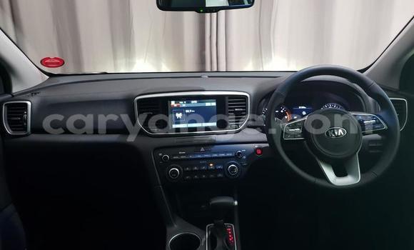 Buy Used Kia Sportage White Car in Windhoek in Namibia Buy Used Kia Sportage White Car in Windhoek in Namibia