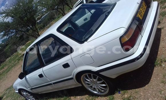 Buy Used Toyota Corolla White Car in Windhoek in Namibia Buy Used Toyota Corolla White Car in Windhoek in Namibia