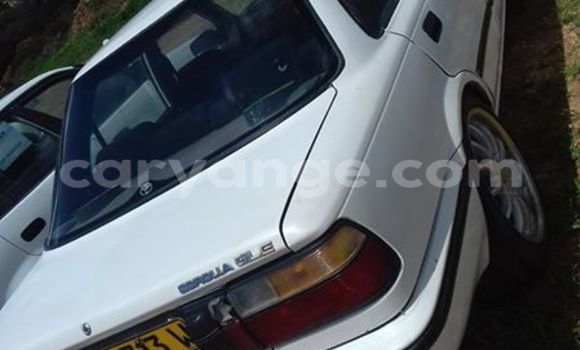 Buy Used Toyota Corolla White Car in Windhoek in Namibia Buy Used Toyota Corolla White Car in Windhoek in Namibia