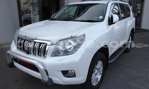 Buy Used Toyota Land Cruiser Prado White Car in Henties Bay in Erongo Buy Used Toyota Land Cruiser Prado White Car in Henties Bay in Erongo