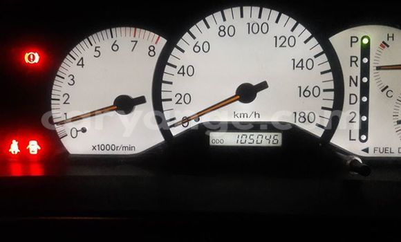 Buy Used Toyota Runx Silver Car in Windhoek in Namibia Buy Used Toyota Runx Silver Car in Windhoek in Namibia