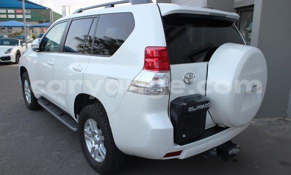Buy Used Toyota Land Cruiser Prado White Car in Henties Bay in Erongo Buy Used Toyota Land Cruiser Prado White Car in Henties Bay in Erongo