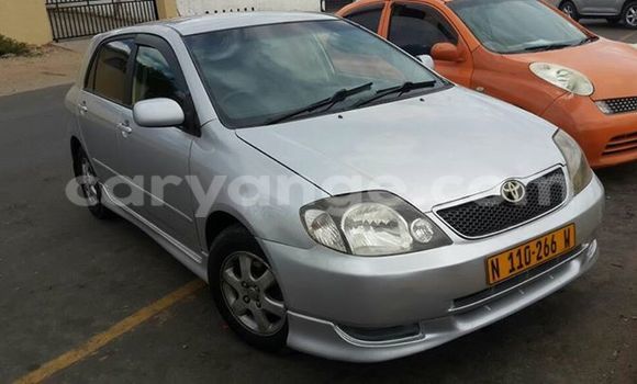 Buy Used Toyota Runx Silver Car in Windhoek in Namibia Buy Used Toyota Runx Silver Car in Windhoek in Namibia