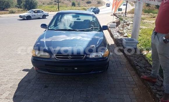 Buy Used Toyota Corolla Blue Car in Windhoek in Namibia Buy Used Toyota Corolla Blue Car in Windhoek in Namibia