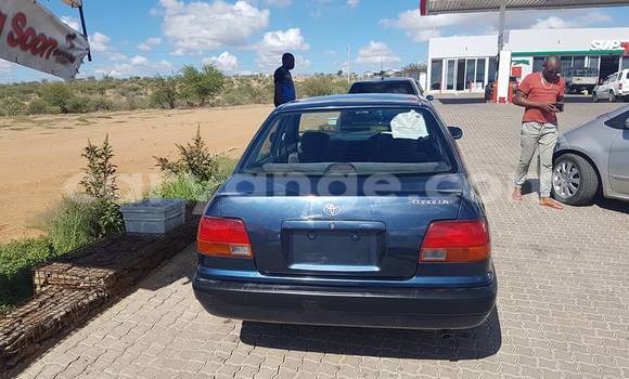 Buy Used Toyota Corolla Blue Car in Windhoek in Namibia Buy Used Toyota Corolla Blue Car in Windhoek in Namibia