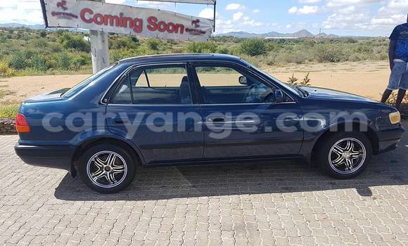 Buy Used Toyota Corolla Blue Car in Windhoek in Namibia Buy Used Toyota Corolla Blue Car in Windhoek in Namibia