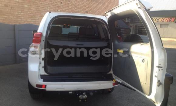 Buy Used Toyota Land Cruiser Prado White Car in Windhoek in Namibia Buy Used Toyota Land Cruiser Prado White Car in Windhoek in Namibia