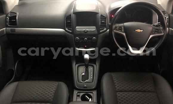 Acheter Occasion Voiture Chevrolet Captiva Gris à Windhoek, Namibie Acheter Occasion Voiture Chevrolet Captiva Gris à Windhoek, Namibie