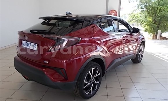 Buy Used Toyota C-HR Red Car in Karasburg in Karas Buy Used Toyota C-HR Red Car in Karasburg in Karas