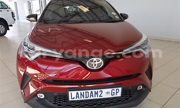 Buy Used Toyota C-HR Red Car in Karasburg in Karas Buy Used Toyota C-HR Red Car in Karasburg in Karas