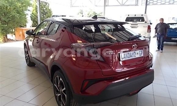 Buy Used Toyota C-HR Red Car in Karasburg in Karas Buy Used Toyota C-HR Red Car in Karasburg in Karas