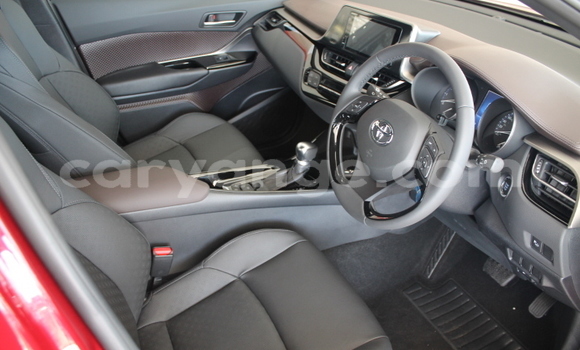 Buy Used Toyota C-HR Red Car in Karasburg in Karas Buy Used Toyota C-HR Red Car in Karasburg in Karas