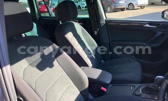 Buy Used Volkswagen Tiguan Silver Car in Windhoek in Namibia Buy Used Volkswagen Tiguan Silver Car in Windhoek in Namibia