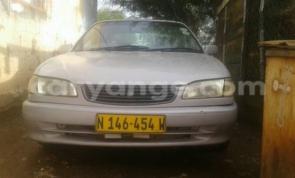Buy Used Toyota Corolla Silver Car in Windhoek in Namibia Buy Used Toyota Corolla Silver Car in Windhoek in Namibia